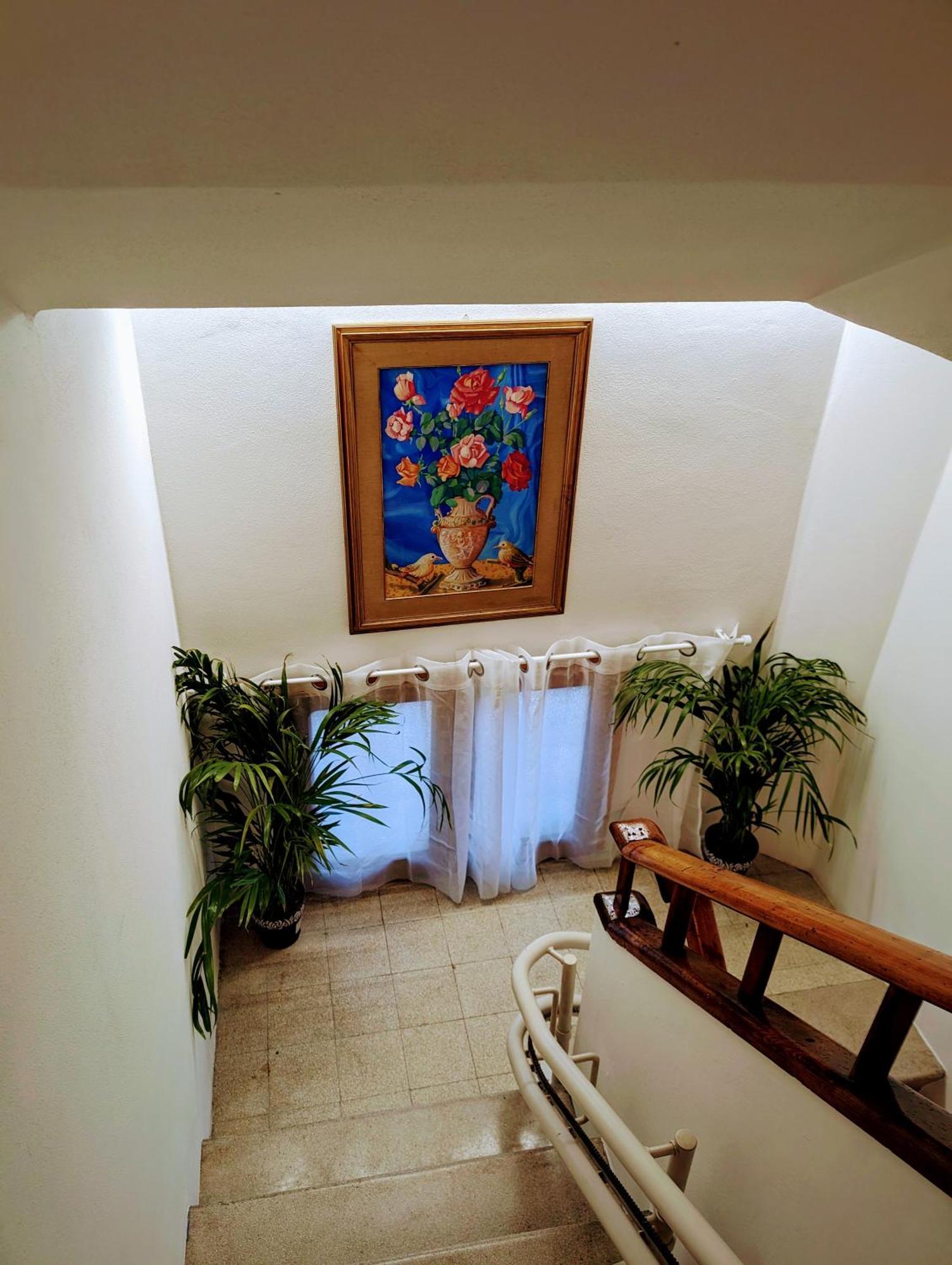 Guest House Il Glicine Stadio - Ospedale Cesena Exterior photo